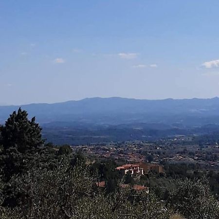 Гостевой дом Agrifarm La Corte Villa Bensi Экстерьер фото